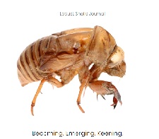 Click to read Happy Birthday Humphrey by JW Goossen